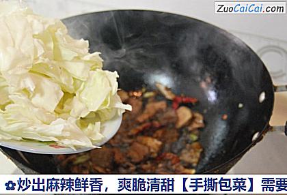 手撕包菜做法第八步骤