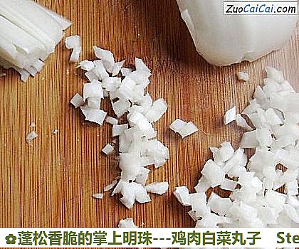 -鸡肉白菜丸子做法第四步骤