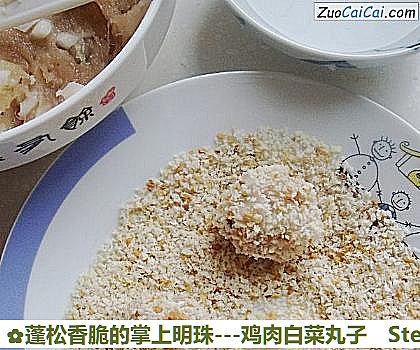 -鸡肉白菜丸子做法第七步骤