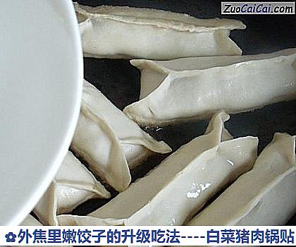 白菜猪肉锅贴做法第十六步骤