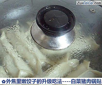 白菜猪肉锅贴做法第十七步骤