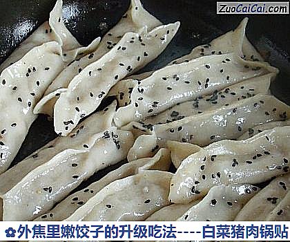 白菜猪肉锅贴做法第十八步骤