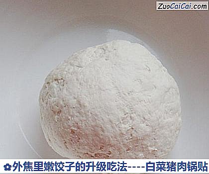 白菜猪肉锅贴做法第二步骤