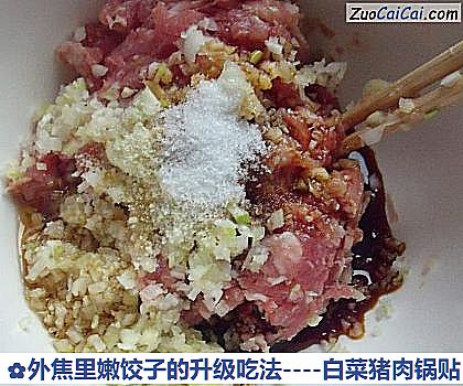 白菜猪肉锅贴做法第六步骤
