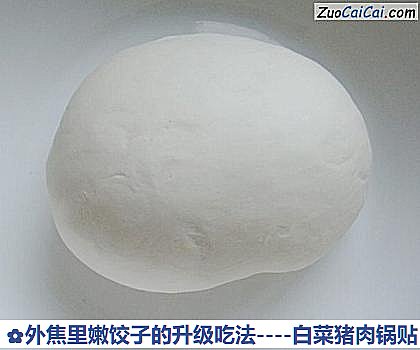 白菜猪肉锅贴做法第九步骤