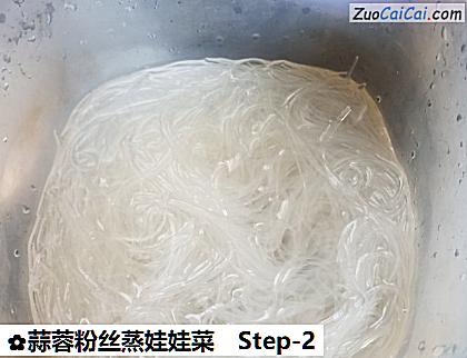 蒜蓉粉丝蒸娃娃菜做法第二步骤
