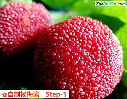 自制杨梅酱做法第一步骤