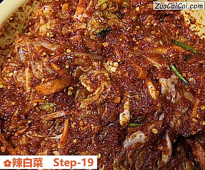 辣白菜做法第十九步骤