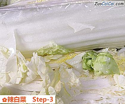 辣白菜做法第三步骤