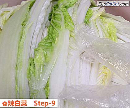 辣白菜做法第九步骤