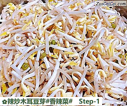辣炒木耳豆芽做法第一步骤