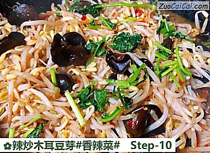辣炒木耳豆芽做法第十步骤
