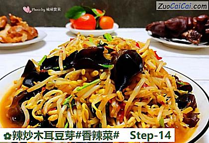 辣炒木耳豆芽做法第十四步骤