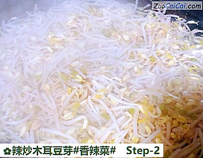 辣炒木耳豆芽做法第二步骤