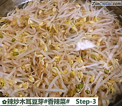 辣炒木耳豆芽做法第三步骤
