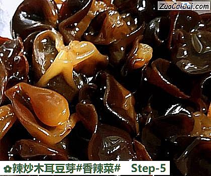 辣炒木耳豆芽做法第五步骤