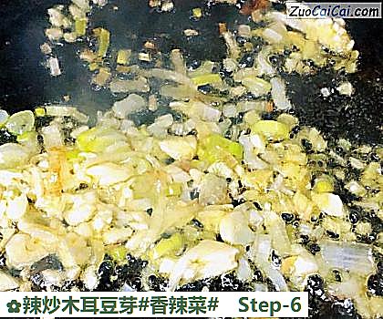 辣炒木耳豆芽做法第六步骤