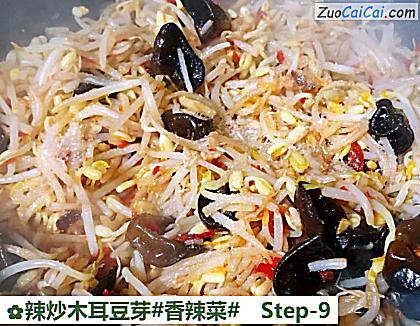 辣炒木耳豆芽做法第九步骤