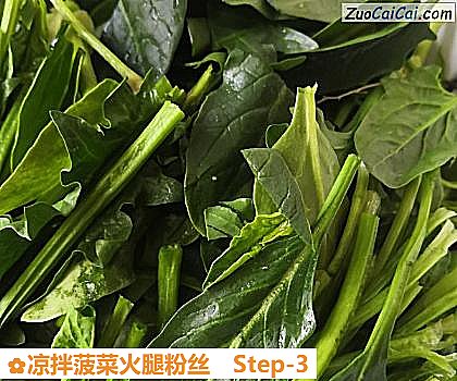 凉拌菠菜火腿粉丝做法第三步骤