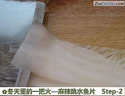 麻辣跳水鱼片做法第二步骤