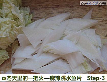 麻辣跳水鱼片做法第三步骤