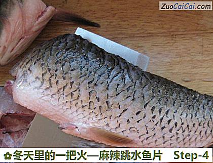 麻辣跳水鱼片做法第四步骤