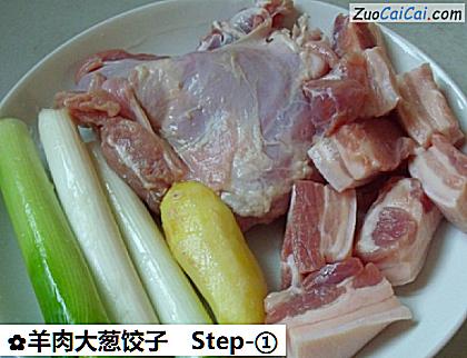 羊肉大葱饺子做法第一步骤