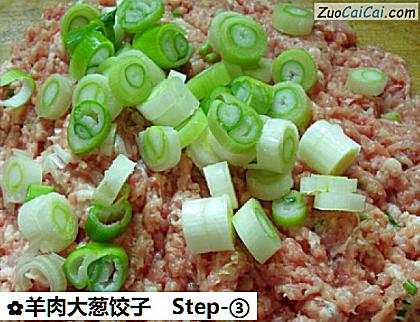 羊肉大葱饺子做法第三步骤