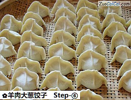羊肉大葱饺子做法第六步骤