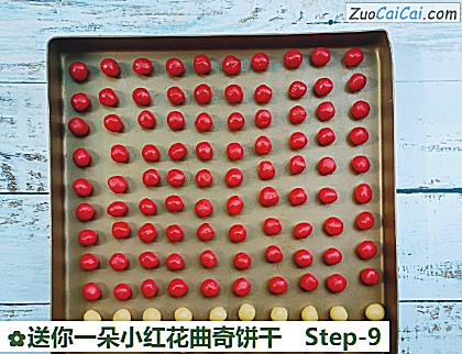 送你一朵小红花曲奇饼干做法第九步骤