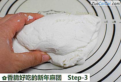 香脆好吃的新年麻团做法第三步骤