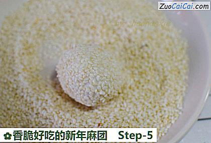 香脆好吃的新年麻团做法第五步骤