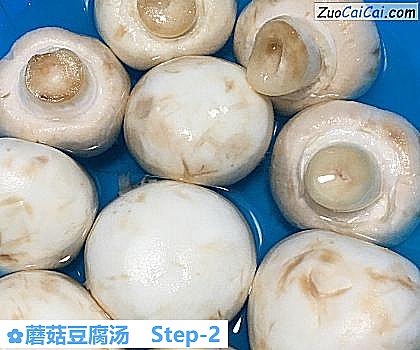 蘑菇豆腐汤做法第二步骤
