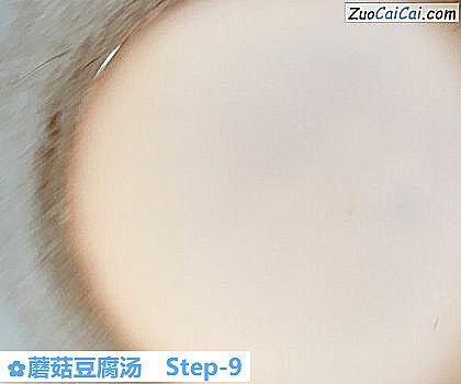 蘑菇豆腐汤做法第九步骤