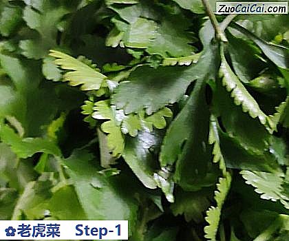 老虎菜做法第一步骤