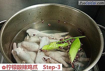 柠檬酸辣鸡爪做法第三步骤