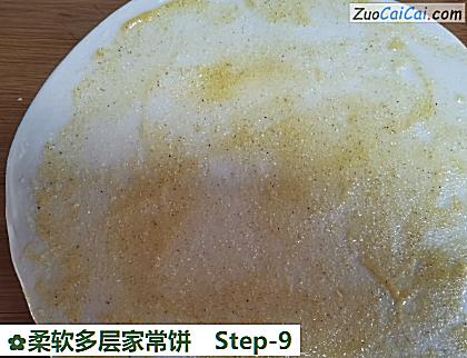 柔软多层家常饼做法第九步骤