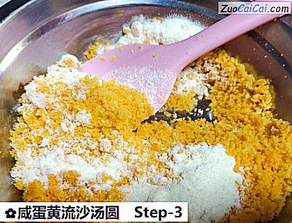 咸蛋黄流沙汤圆做法第三步骤
