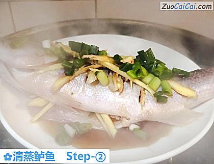 清蒸鲈鱼做法第二步骤
