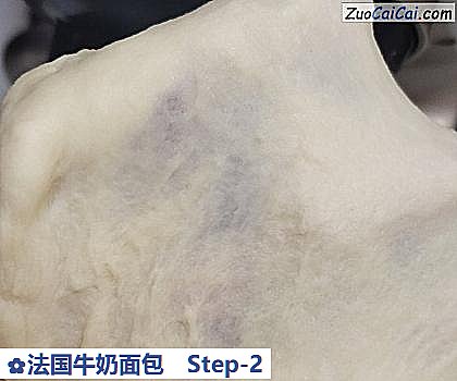 法国牛奶面包做法第二步骤