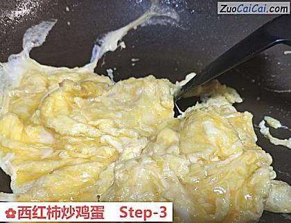 西红柿炒鸡蛋做法第三步骤