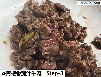 青椒番茄汁牛肉做法第三步骤