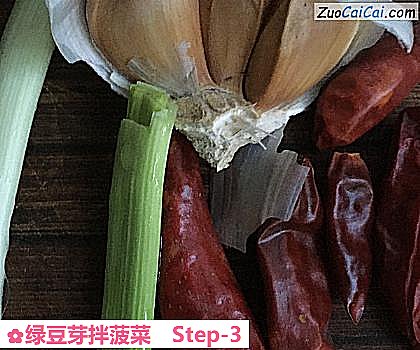 绿豆芽拌菠菜做法第三步骤