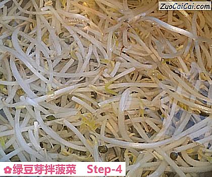 绿豆芽拌菠菜做法第四步骤