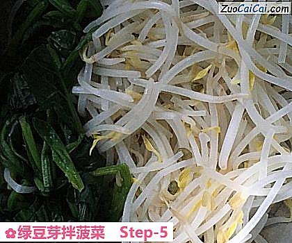 绿豆芽拌菠菜做法第五步骤