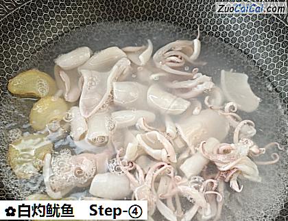 白灼鱿鱼做法第四步骤