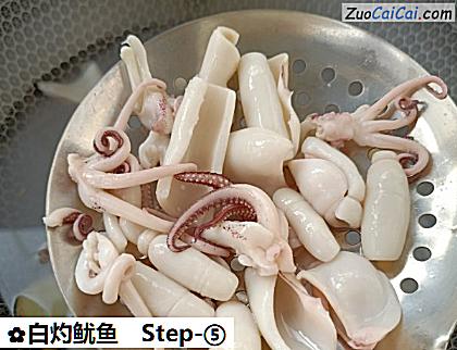 白灼鱿鱼做法第五步骤