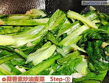 蒜香素炒油麦菜做法第三步骤
