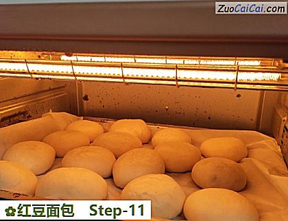 红豆面包做法第十一步骤