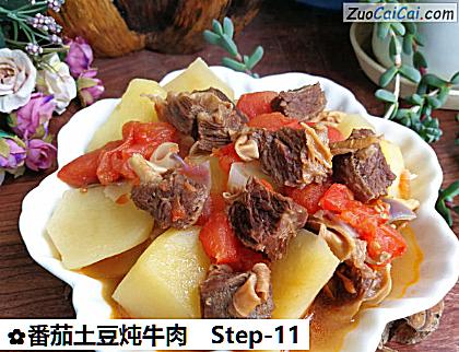 番茄土豆炖牛肉成品图4